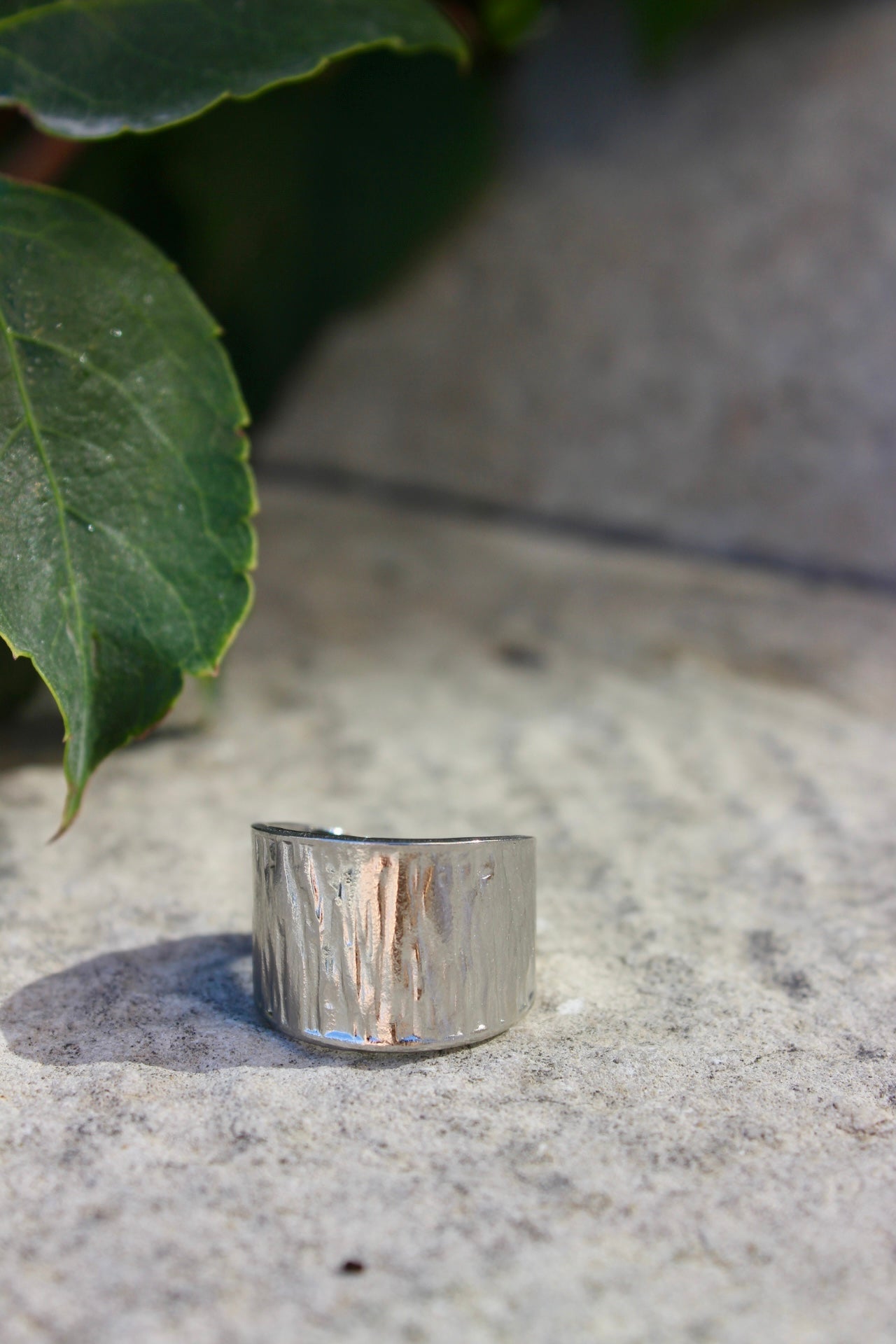 Anel Prateado Grande